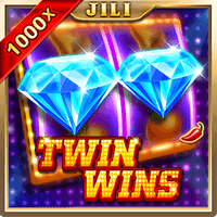 TWIN WINS game cover